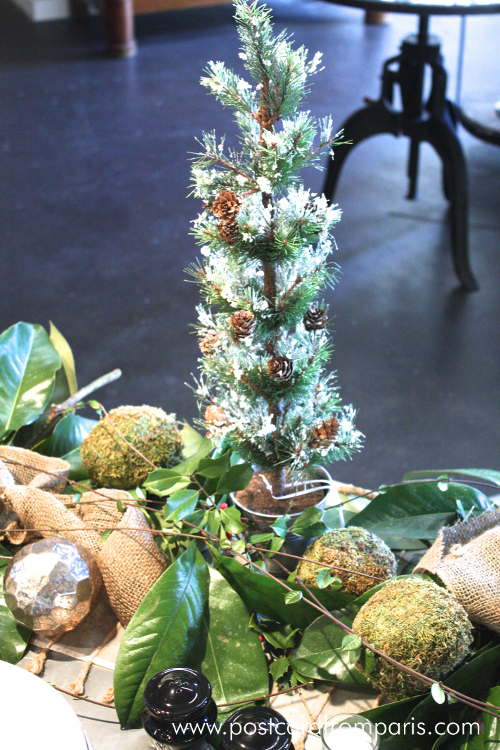 Tabletop_Trees